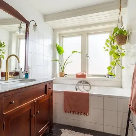 Haarlemse Hoekje Close To Zandvoort F1! Appartement *