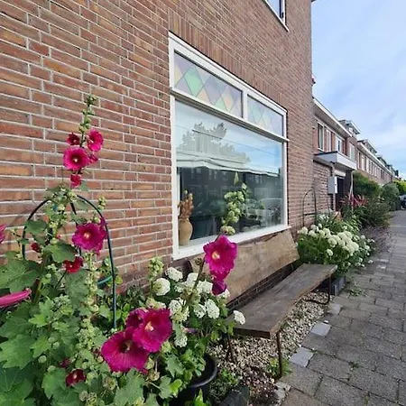 Apartment Haarlemse Hoekje Close To Zandvoort F1!